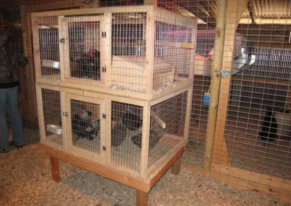 Cách làm chuồng gà đá hai tầng