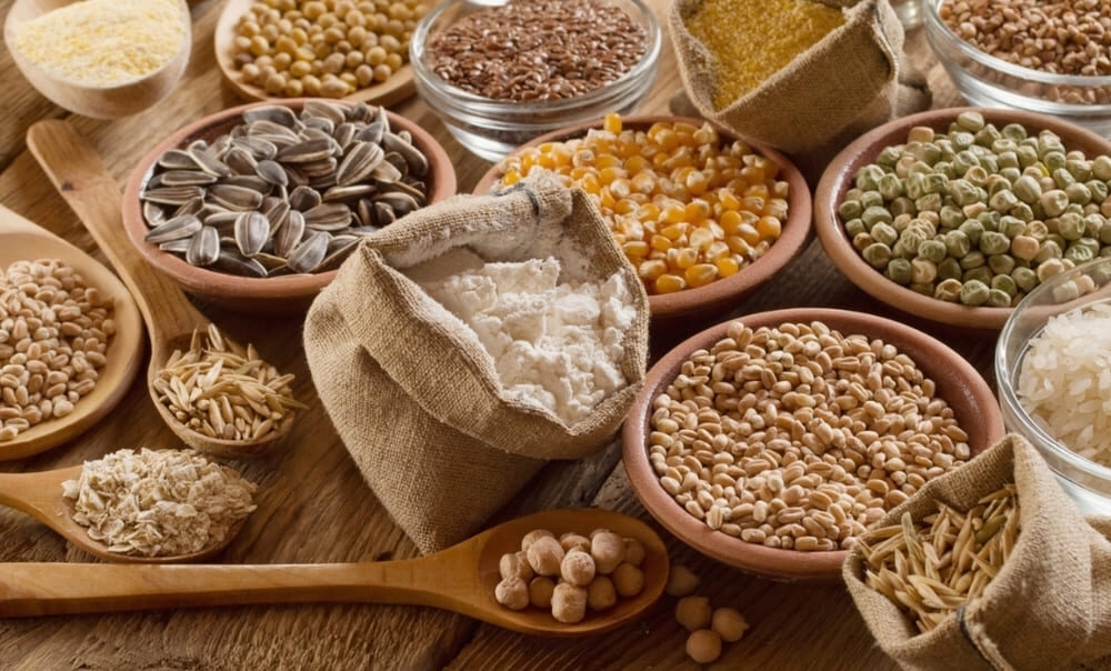 Chế độ dinh dưỡng phù hợp để chăm sóc gà đá bo lớn