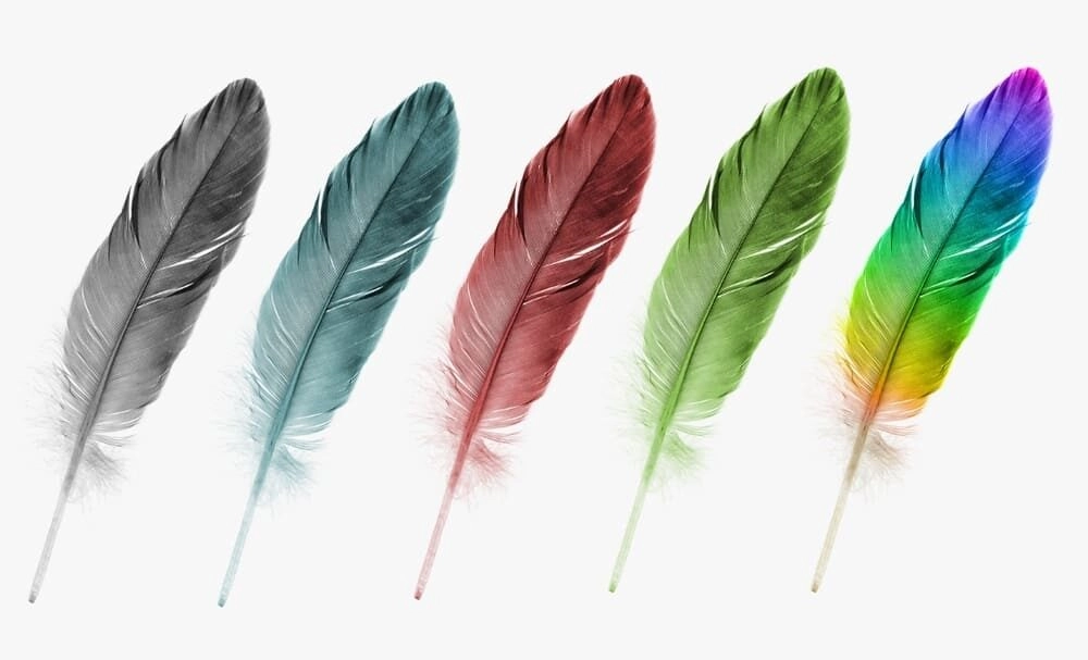 Khám phá 7 loại mạng gà đá phổ biến