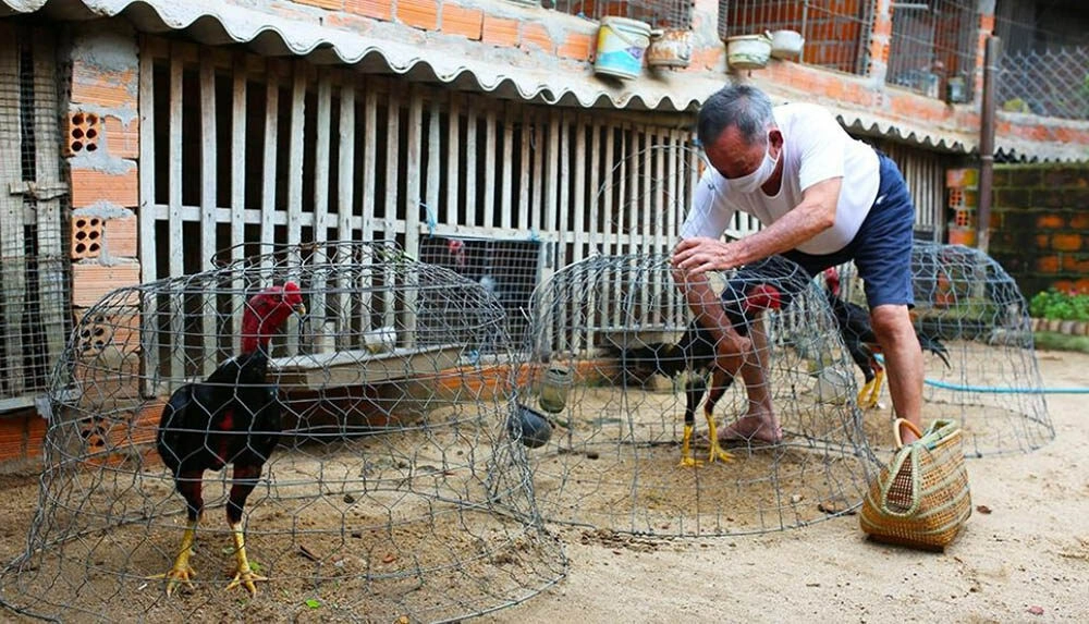 Phục hồi thể lực